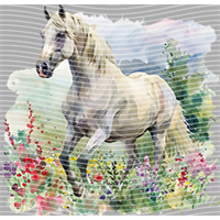 Animal Integration-DW 404